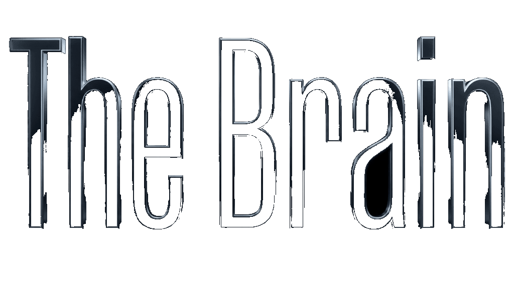 The Brain